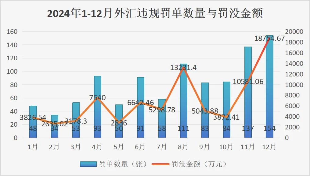 2024年12月外汇违规罚单分析